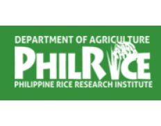 philrice zimbra|Philippine Rice Research Institute.
